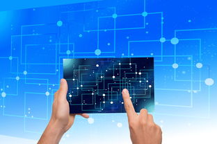 九游网页版入口-中国篮球青训体系教练员能力评估与发展规划，篮球教练员素养